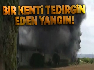 Bir kenti tedirgin eden yangın: Gökyüzü dumanlarla kaplandı