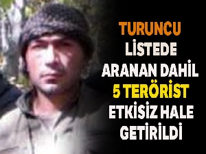 Siirt'te Turuncu Kategori'de aranan terörist dahil 5 terörist etkisiz hale getirildi