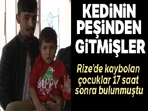 Kedinin peşinden gitmişler