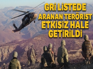 Gri kategorideki terörist etkisiz hale getirildi