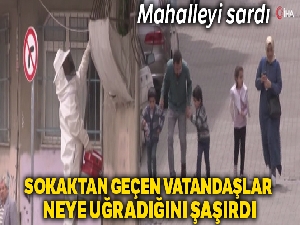 Sultangazi'de mahalleyi arılar bastı