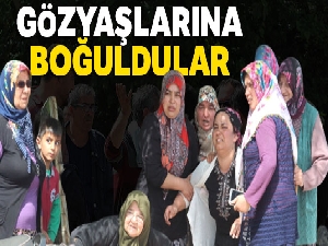 Antalya'da ağlatan yangın