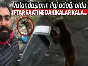 Sarıkamış'ta yemek kokusu yavru ayıyı sokağa indirdi
