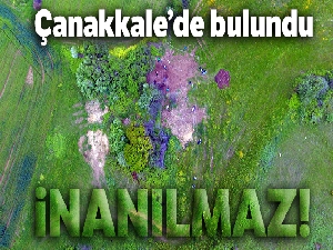Çanakkale'de kaçak kazıda zemin mozaiği bulundu