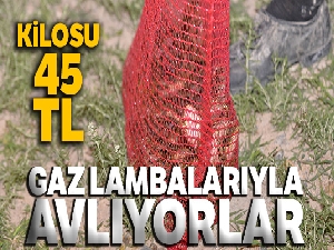 Avcılar gaz lambalarıyla gecenin karanlığında kurbağa avına çıktı