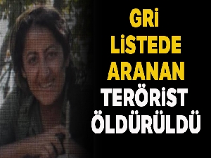 300 bin TL ödülle aranan terörist etkisiz hale getirildi