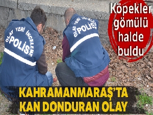 Toprağa gömülen cenini, köpekler bulup çıkardı