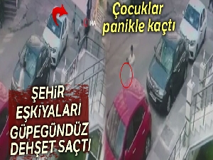 Maltepe'de güpegündüz silahlı çatışma kamerada