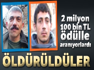 2 milyon 100 bin TL ödülle aranıyorlardı öldürüldüler