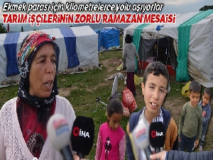 Tarım işçilerinin zorlu hayatı !