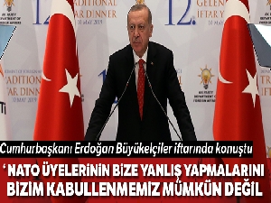 Cumhurbaşkanı Erdoğan: NATO üyelerinin bize yanlış yapmalarını bizim kabullenmemiz mümkün değil