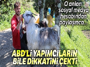 Keçisi ile kurduğu bağ ABD'li yapımcıların bile dikkatini çekti