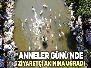 'Flamingolu Köy' Anneler Günü'nde ziyaretçi akınına uğradı