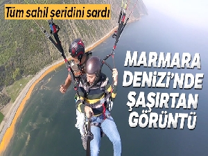 Marmara Denizi'nde şaşırtan görüntü
