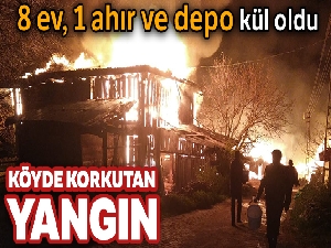 Köyde çıkan yangında 8 ev, 1 ahır ve depo kül oldu