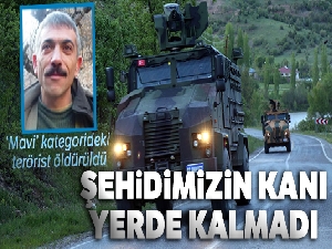 Öldürülen 'Mavi' kategorideki terörist, 3 asker ve 1 sivili şehit etmiş