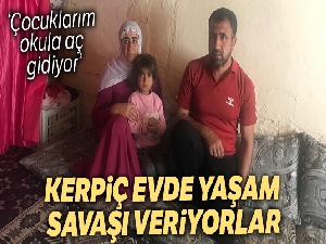 Akrep ve yılanların bulunduğu kerpiç evde yaşam mücadelesi veriyorlar