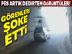 Başkent'te köpeğin otomobil üzerinde yolculuğu görenleri şok etti