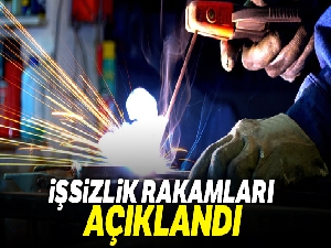 Şubat ayı işsizlik rakamları açıklandı