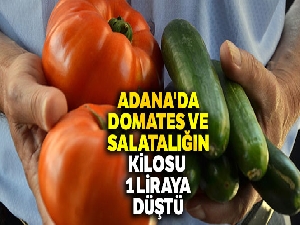 Adana'da domates ve salatalığın kilosu 1 liraya düştü