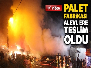 Küçükçekemece'de palet fabrikası alevlere teslim oldu