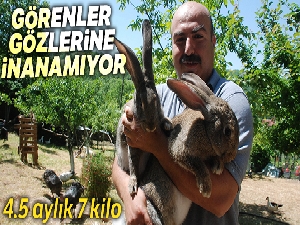 Görenler gözlerine inanamıyor