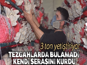 Satmak için ürün bulamayınca kızdı ve serasını kurdu