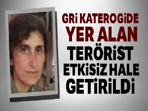 Gri kategoride yer alan terörist etkisiz hale getirildi