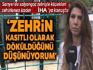 Sarıyer'de salyangoz zehriyle köpekleri zehirlenen kadın İHA'ya konuştu