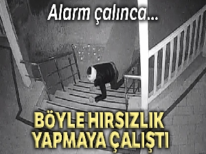Sürünerek hırsızlık yapmaya çalışan şüpheli kamerada