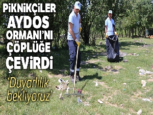 Aydos Ormanı'nı piknikçiler çöplüğe çevirdi