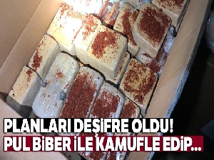 Pul biber ile kamufle edilen eroin, narkotik köpeği Alfa'ya takıldı