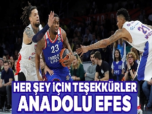 Anadolu Efes, Euroleague ikincisi
