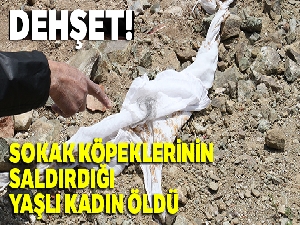 Sokak köpeklerinin saldırdığı yaşlı kadın öldü