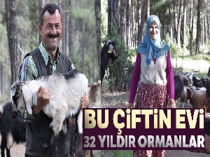 Bu çiftin evi 32 yıldır ormanlar