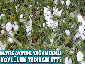 Mayıs ayında yağan dolu, köylüleri tedirgin etti