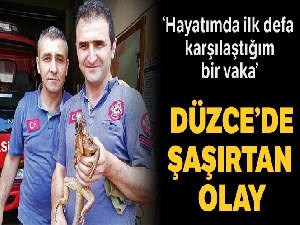 Düzce'de itfaiye ekipleri eşine az rastlanır bir olayla karşılaştı