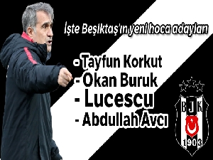 Beşiktaş'ta teknik direktör harekatı başlıyor