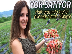Fiyatı 40 TL'yi bulan Osmanlı Çileği yok satıyor