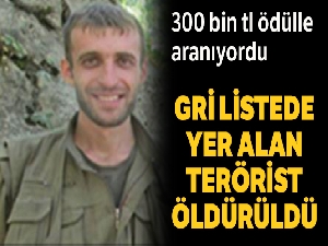 300 bin tl ödülle aranan Gri Listedeki terörist öldürüldü