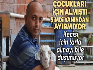 Evladı gibi sevdiği keçiyi yanından ayırmıyor