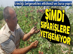 İzlediği belgeselden etkilenip böğürtlen ekti, şimdi siparişlere yetişemiyor