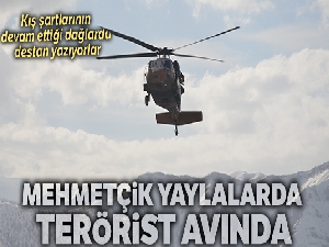 Mehmetçik yaylalarda terörist avında