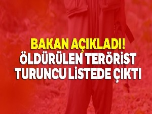 Öldürülen terörist turuncu listede çıktı