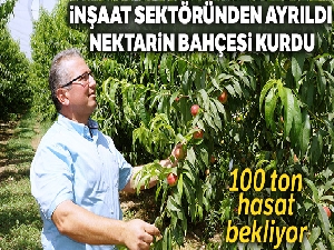 İnşaat sektöründen ayrıldı, nektarin bahçesi kurdu