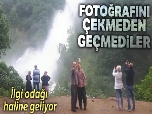 Yoldan geçerken görenler araçlarından inip fotoğrafını çekti