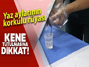 Yaz aylarının korkulu rüyası kene tutulmasına dikkat