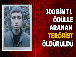 Diyarbakır'da Gri Listedeki 300 bin TL ödülle aranan terörist öldürüldü