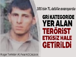 Gri kategoride yer alan terörist etkisiz hale getirildi !