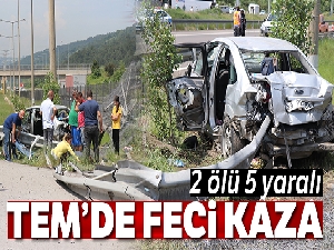 TEM'de feci kaza: 2 ölü, 5 yaralı